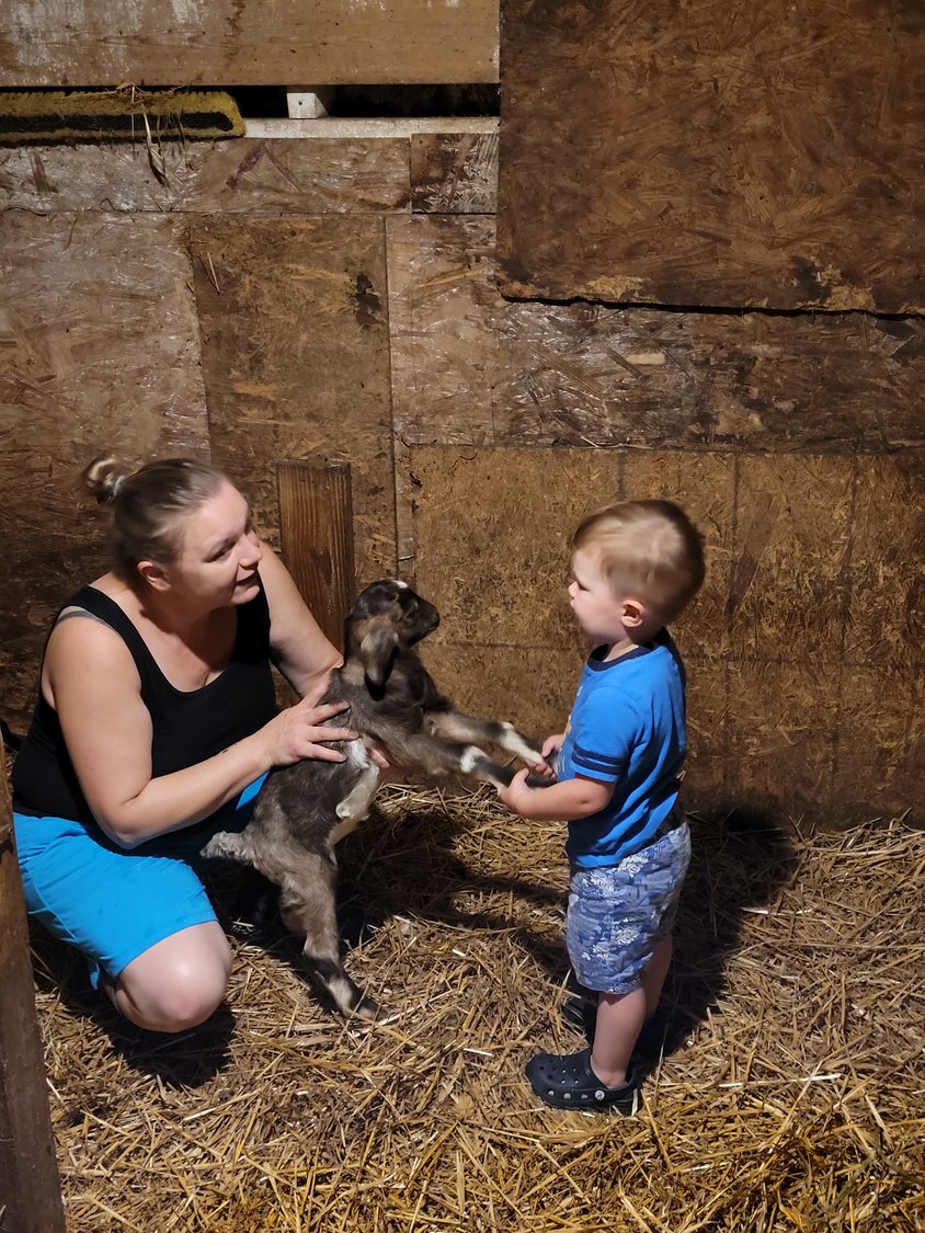 My son learns how to safely handle newborn baby goats from his grandma.
